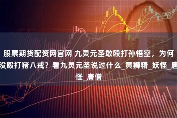 股票期货配资网官网 九灵元圣敢殴打孙悟空，为何却没殴打猪八戒？看九灵元圣说过什么_黄狮精_妖怪_唐僧