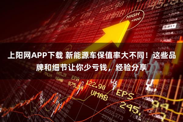 上阳网APP下载 新能源车保值率大不同！这些品牌和细节让你少亏钱，经验分享