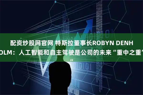 配资炒股网官网 特斯拉董事长ROBYN DENHOLM：人工智能和自主驾驶是公司的未来“重中之重”